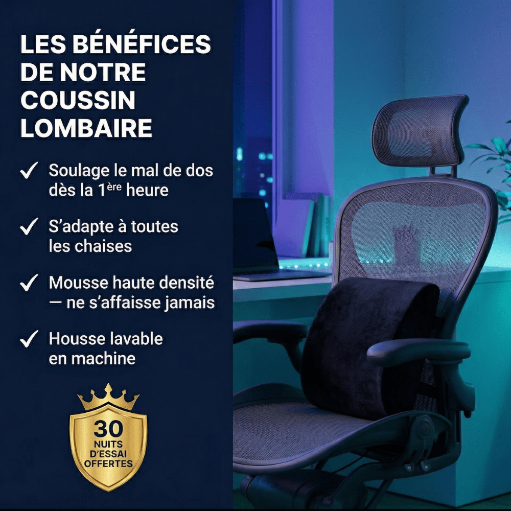 coussin lombaire portable chaise bureau voiture softsleep